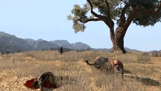 Red Dead Redemption Gameplay Series #3： Life In The West - Part I