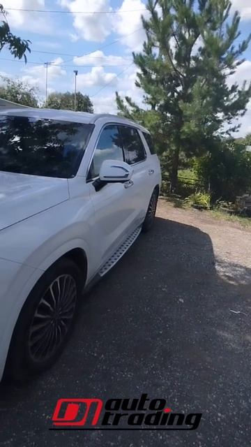 Отзыв от нашего клиента Huyndai Palisade  DI AUTO TRADING - Авто из Кореи