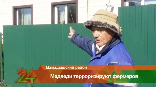 В МАМАДЫШСКОМ РАЙОНЕ МЕДВЕДЬ НАПАЛ НА СТАДО И НАПУГАЛ ЖИТЕЛЕЙ
