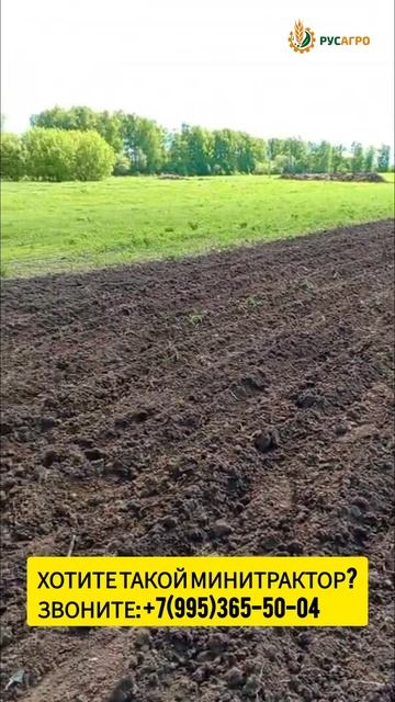 Посадка картофеля минитрактором Агромаш МТ-110