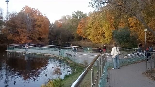 Влог  04-08.10.2025  Прогулки пицца конверт и закладка ручной работы напольная игра