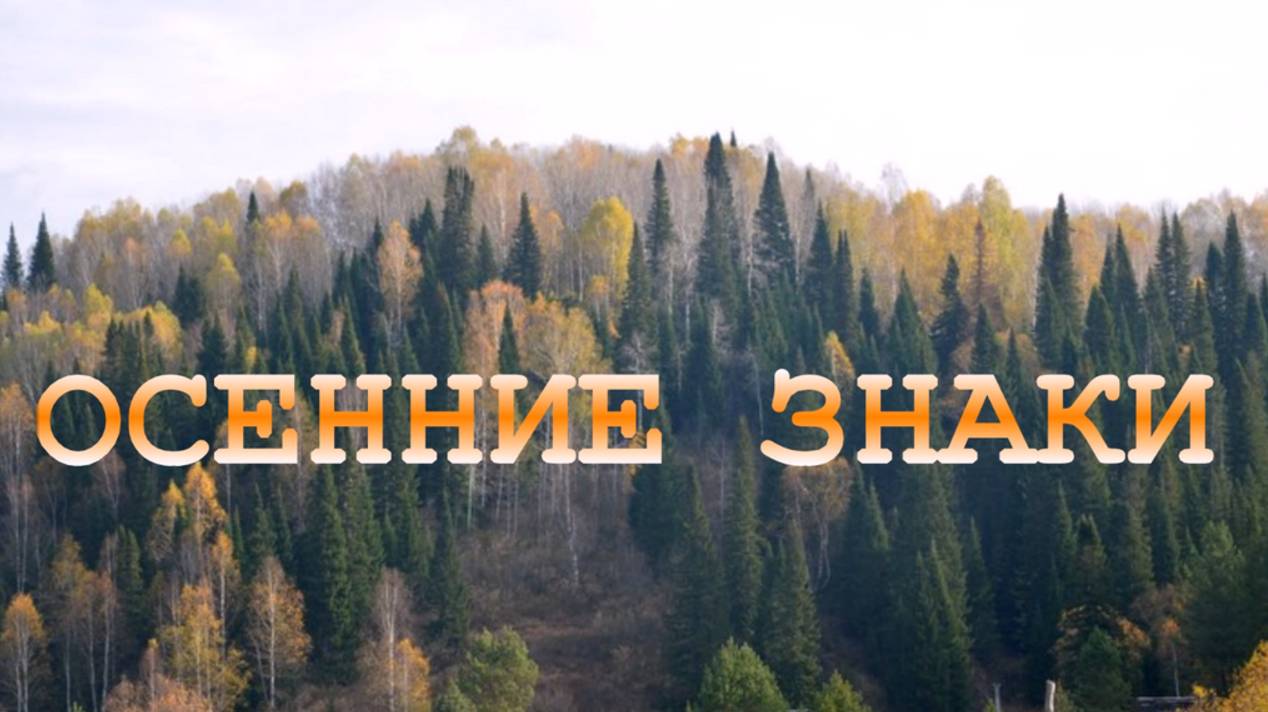 Осенние знаки😀👍