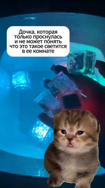 Арт. Wb #216754000