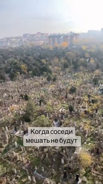 И соседи тихие