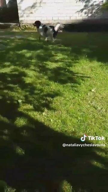 Наташа!...)))