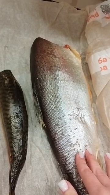 Обзор на морепродукты