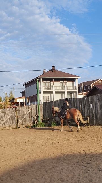 Яна и Каспер, галоп на плацу.