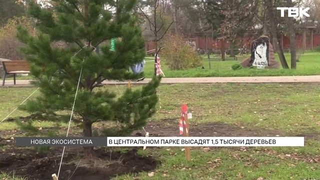 В Центральном парке Красноярска высадят полторы тысячи новых деревьев и кустарников