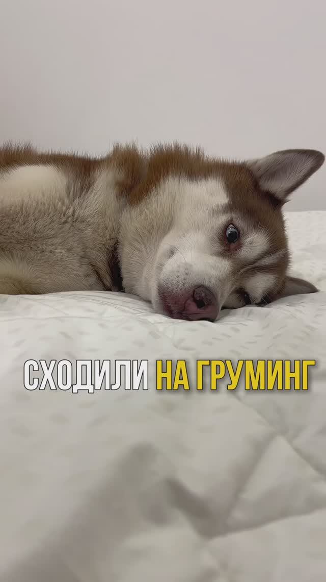 Подписывайся больше видео в профиле!