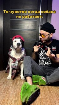 Безработная собака.