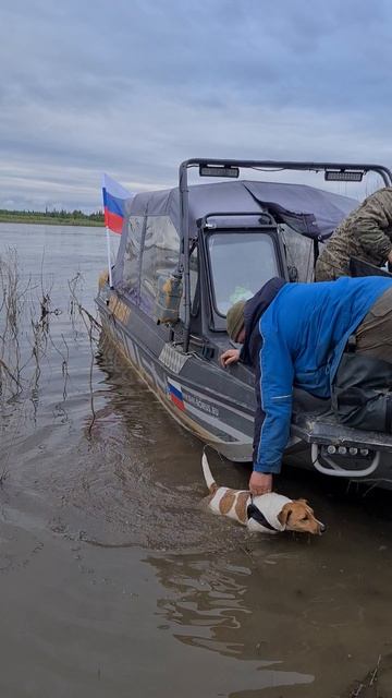 барни_174200