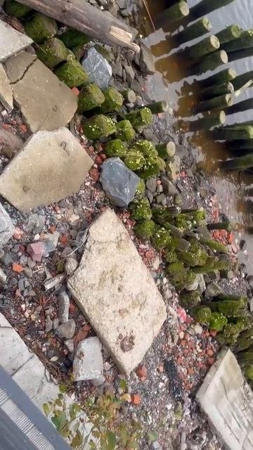 Буянова пристань: 3 года спустя. Что имеем и что теряем?