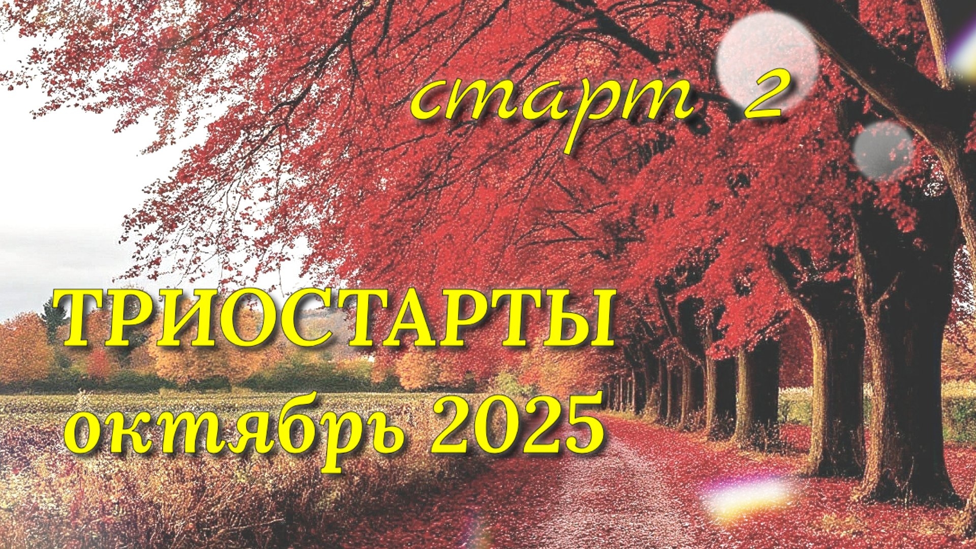 Шапка крючком из пряжи из фикспрайса. Старт 2 в СП Триостарты октября