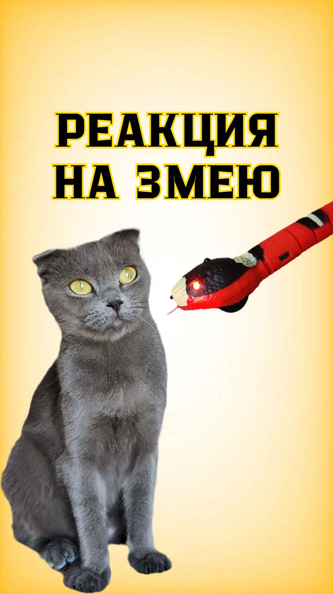 Реакция Даффи на змею😂