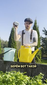 Пересадка орхидеи после цветения: «Цимус» и «Аминоцимус» для активного роста