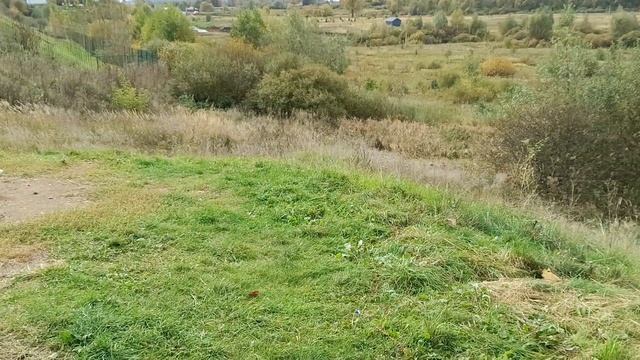 Раздолье, благодать, простор....