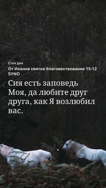 #Слово на 8.10 #библия