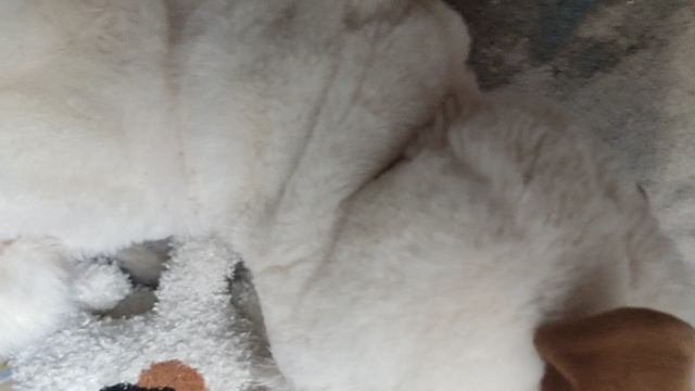 влог с реборном 2 часть будет