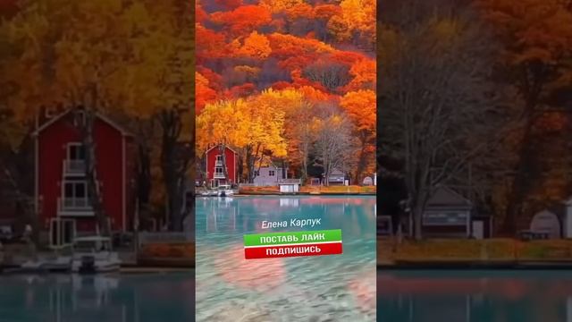 🔴 В подворотне осень танцевала 🤗🥰❤️🙏🏻🍁🍂🍁