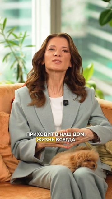 Страх завести собаку 

Многие люди так сильно боятся изменения жизненного уклада, привычного расписа