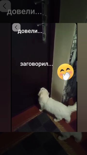 Позитивчика вам #позитив