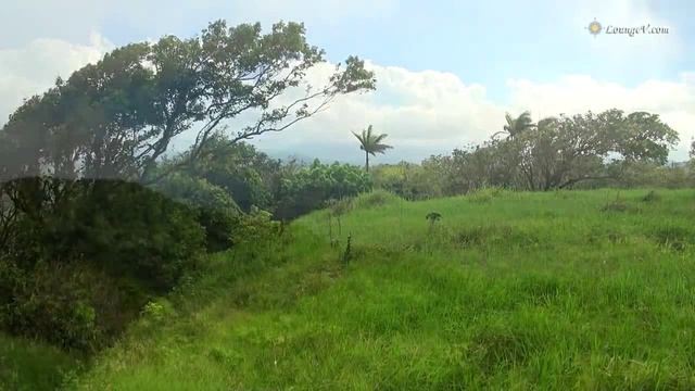 Алексей Ермаков-Моя земля