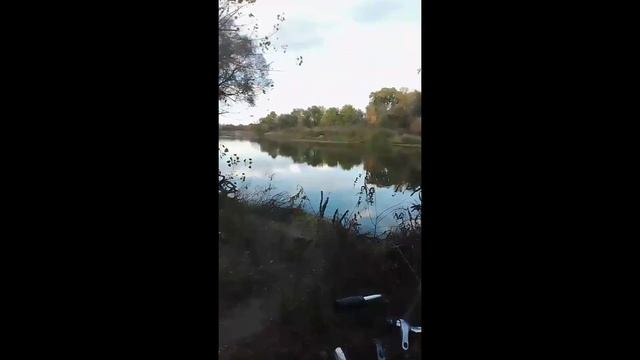 С детства по советски мы воспитаны
