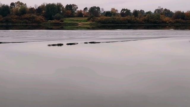 7 октября. с утра на реке туман, вечером дымка!