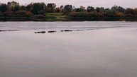 7 октября. с утра на реке туман, вечером дымка!