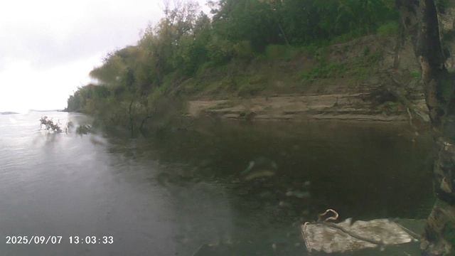 MOV00542
