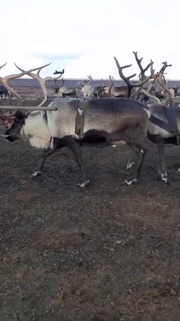будни