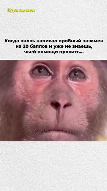  Низкий балл на пробном экзамене. Что делать?