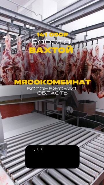 Заполняй анкету в шапке профиля!
