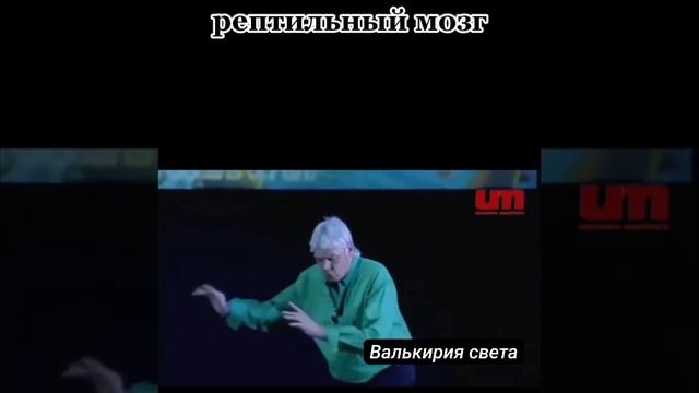 Рептильный мозг.