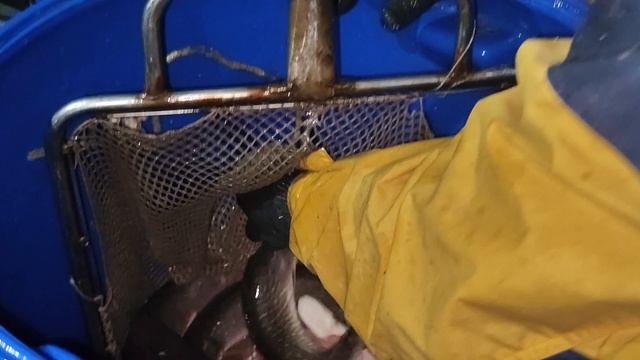 Приход партии Щуки 06.10.2025г.