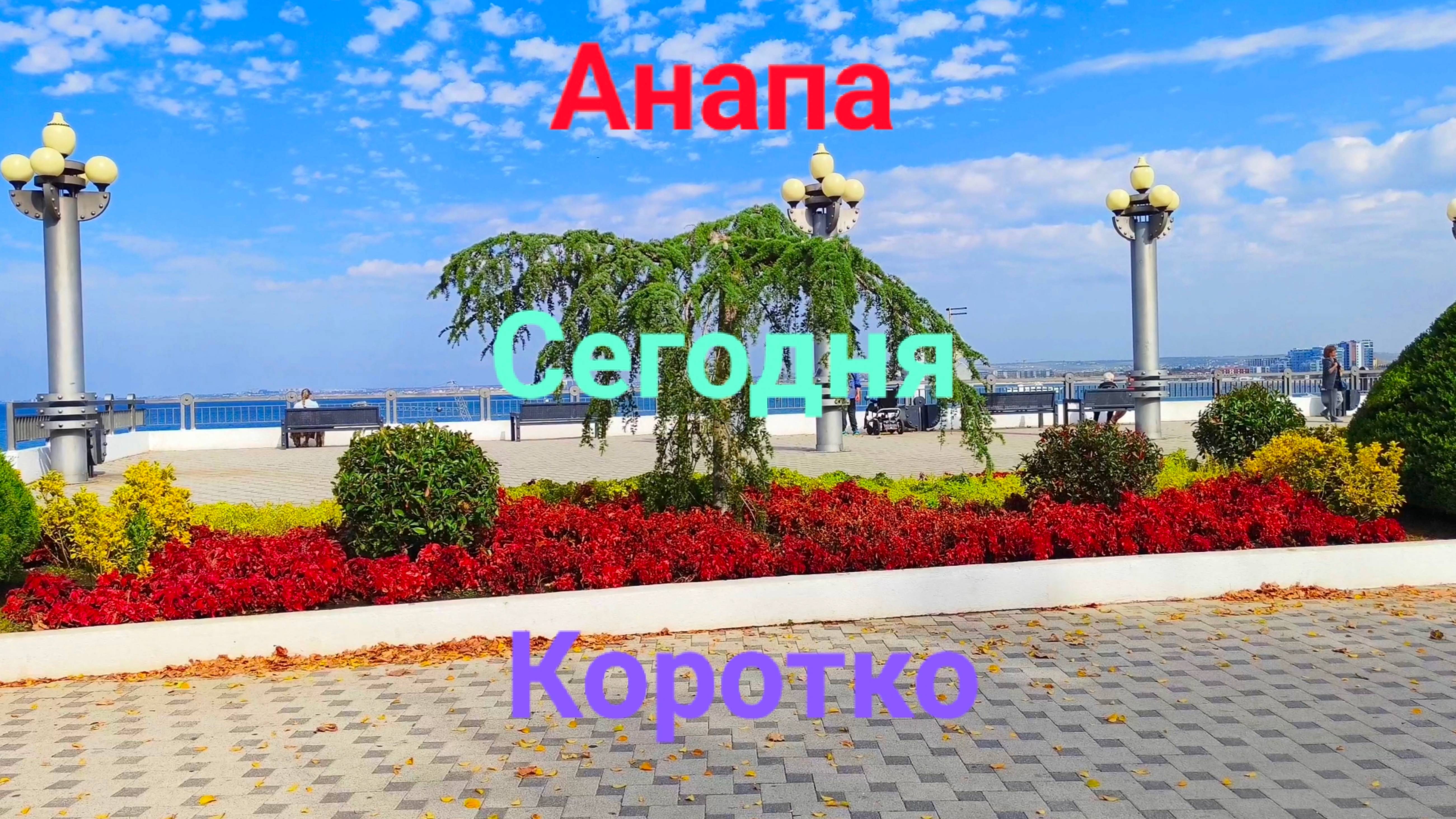 Анапа Сегодня Коротко 08.10.2025