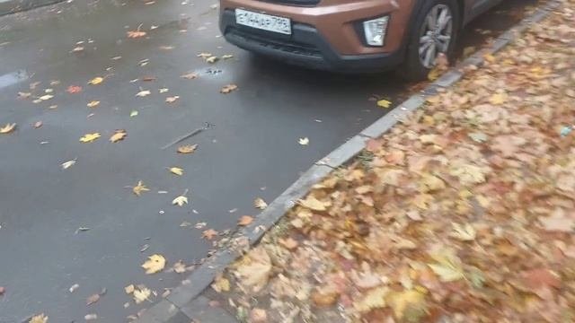 Осень Осень ну давай у лета спросим где он май .осень 2025