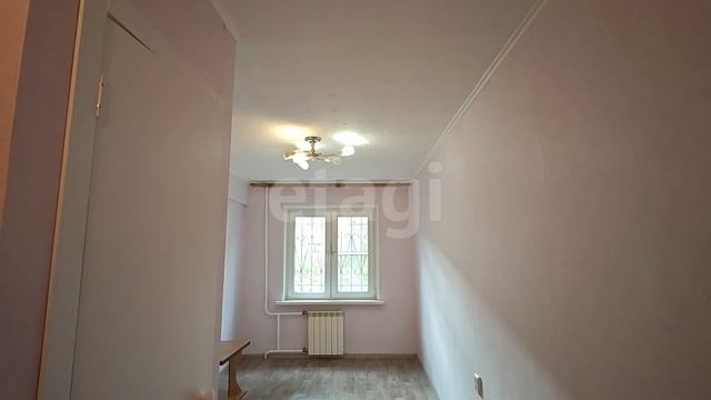 Новая 24