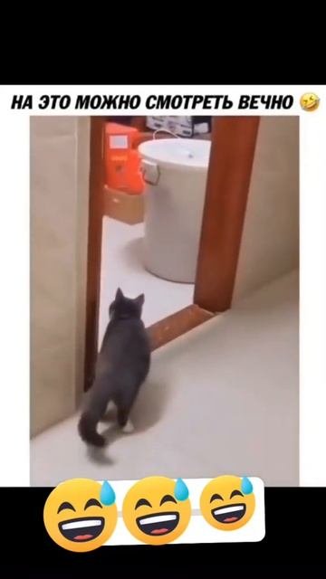 Как перестать это смотреть?🤣