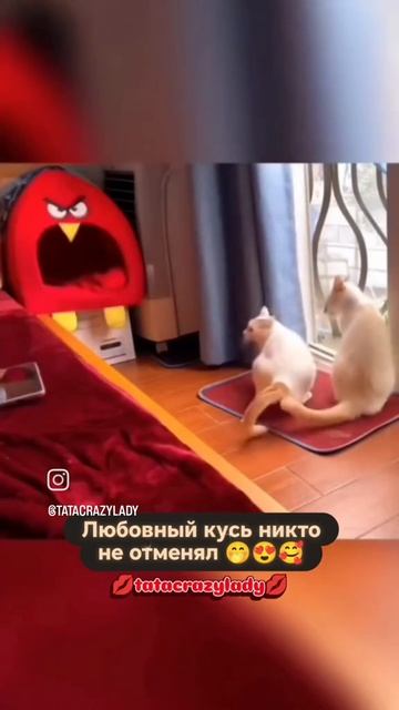1000004514.mp4