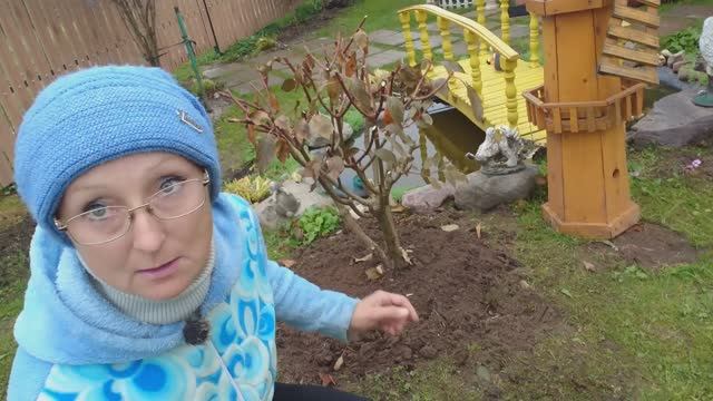 Видео привет с 6 соток 7 октября 2025 года.