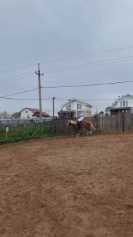 У Яны получается двигаться на Каспере галопом полный круг.