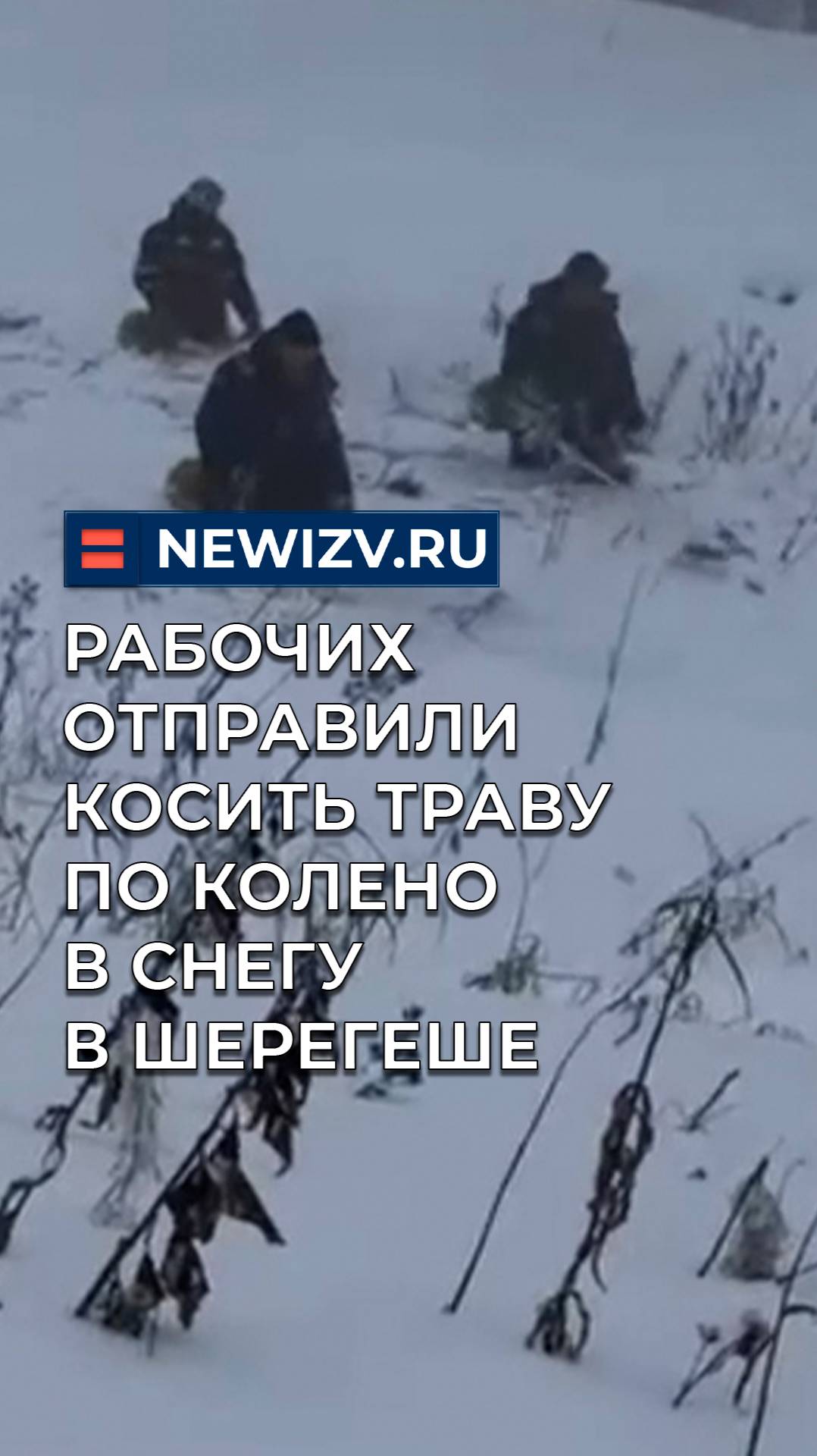 Рабочих отправили косить траву по колено в снегу в Шерегеше