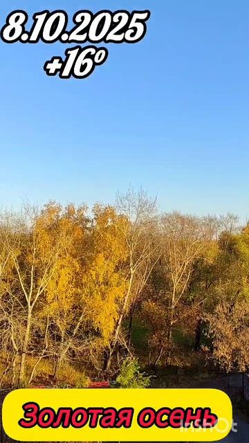 08-10-2025 Золотая осень