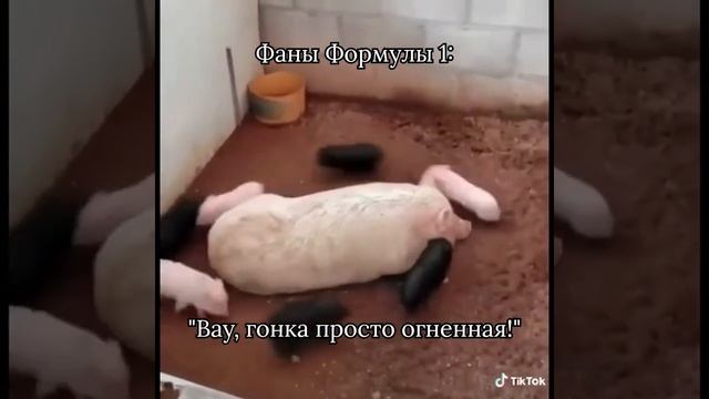 гонка (р)