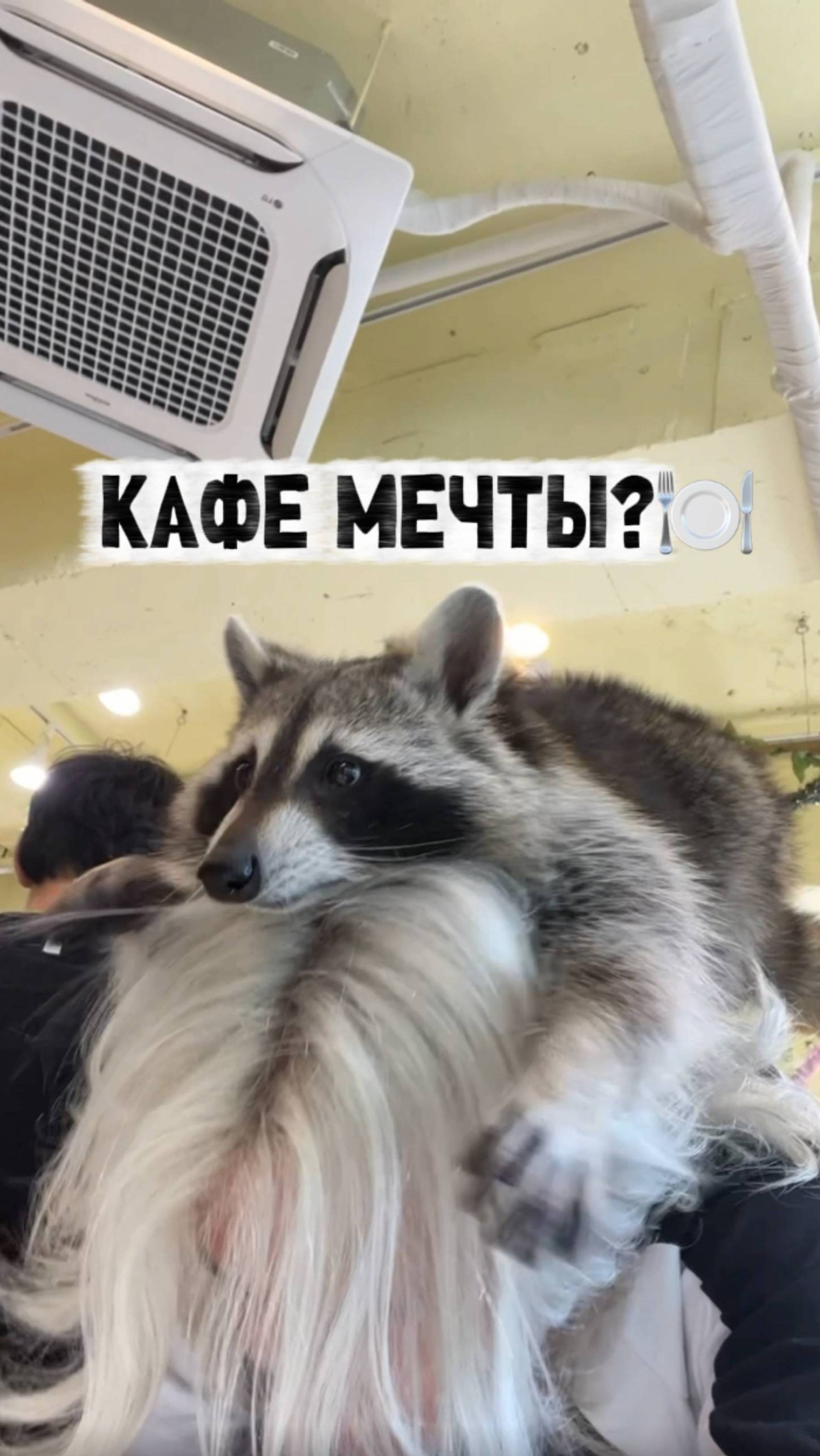 НЕОБЫЧНОЕ КАФЕ С ЖИВОТНЫМИ