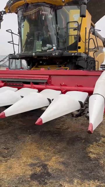 Жатка для уборки кукурузы CornMaster-8