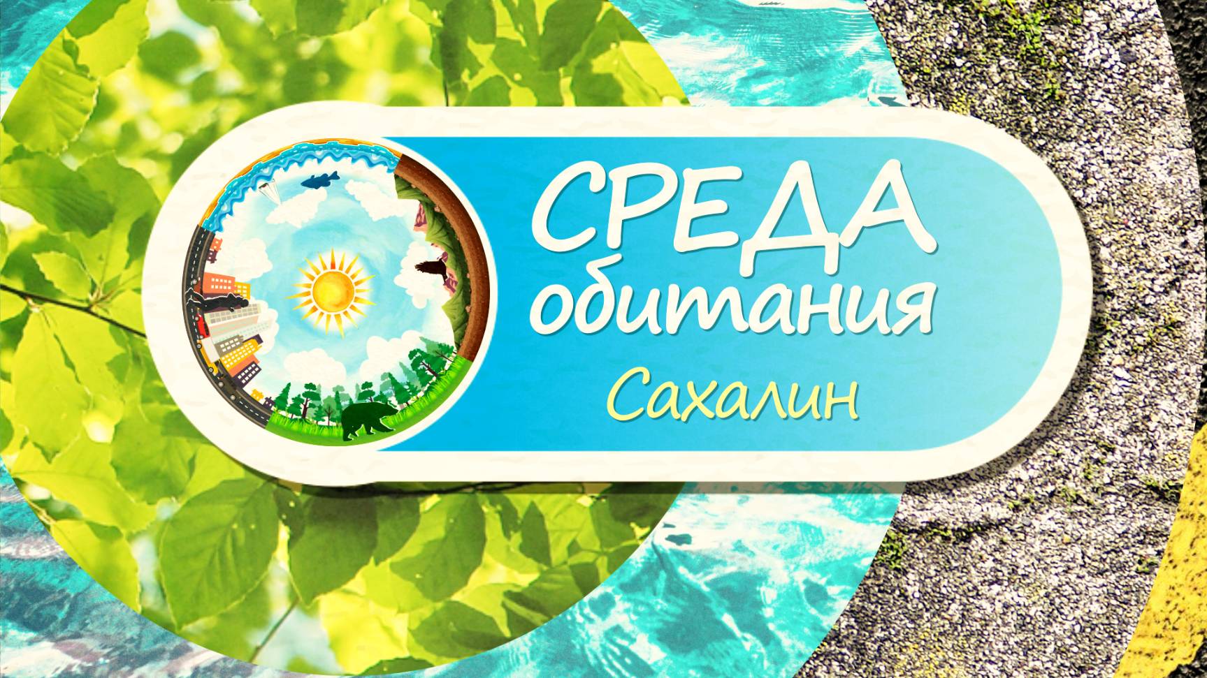 Экологическое правонарушение - что входит в это понятие? Среда обитания 08.10.25