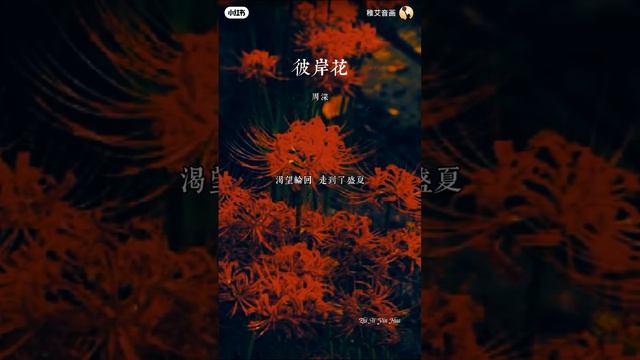 Video_2025