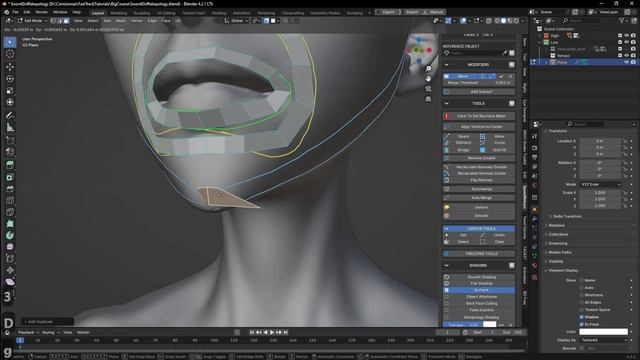 37-Face Retopology Part1
